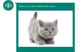 مایکروسافت