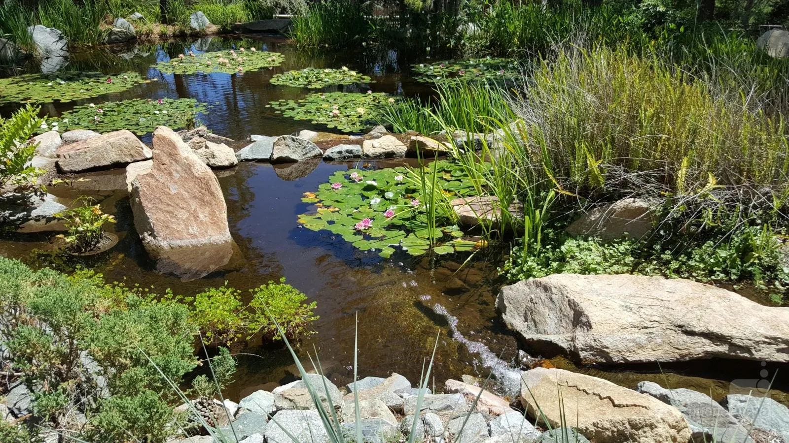 عکس از Srikar Prayaga گرفته شده توسط Galaxy S6