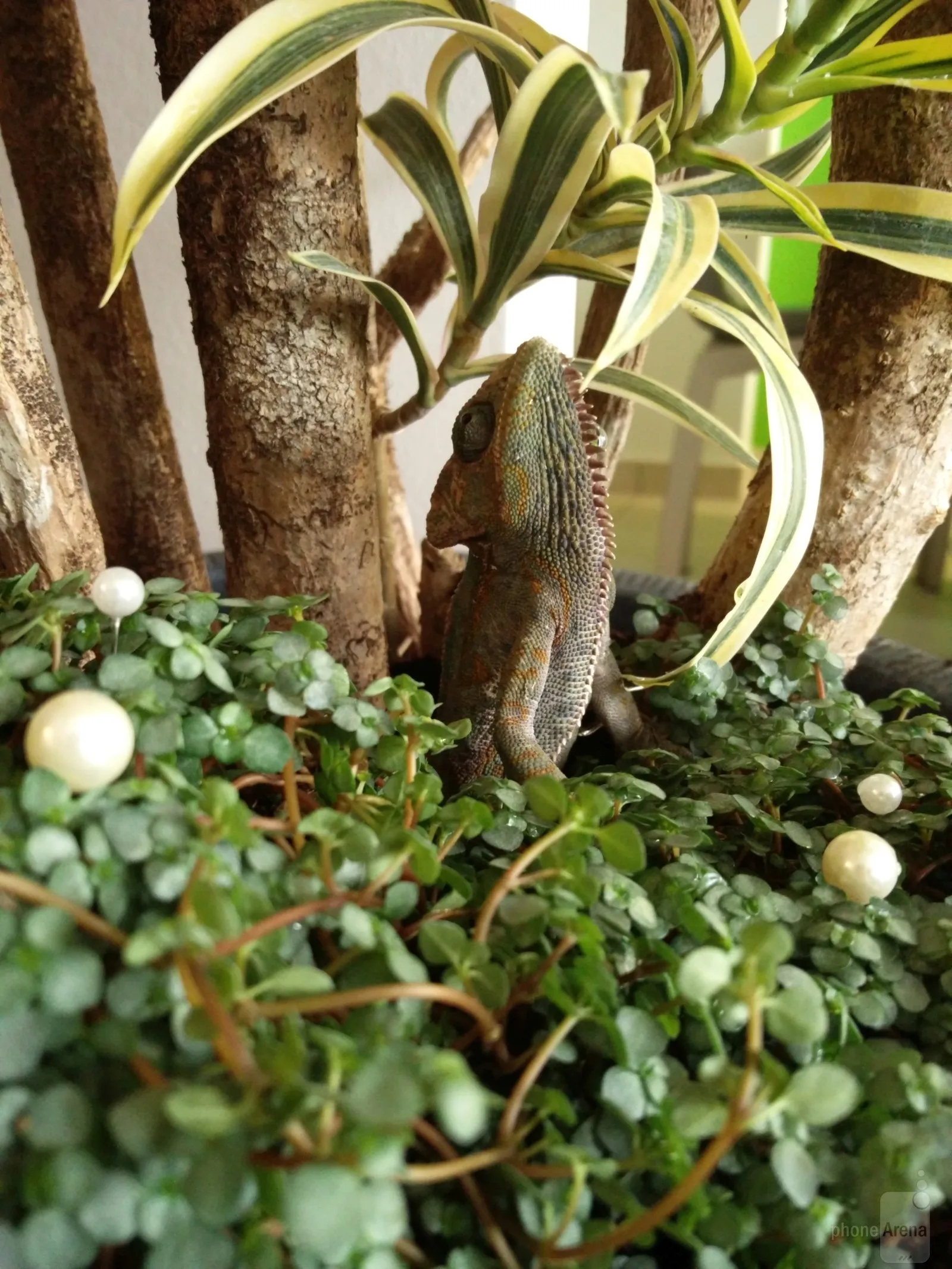 عکس از Anski نوشته شده توسط OnePlus 2