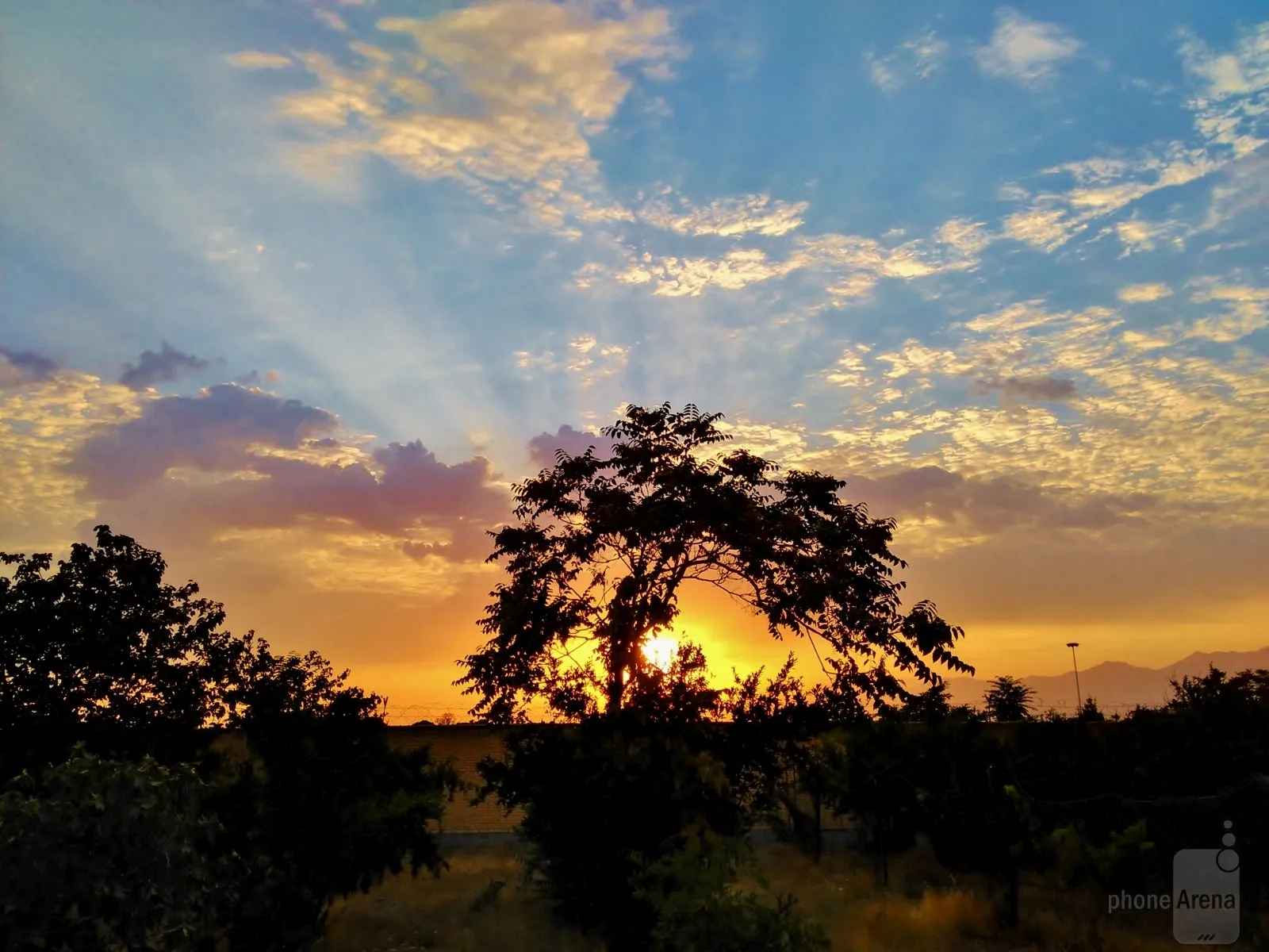 عکس از Mohsen Farhadi گرفته شده توسط Huawei Ascend G6