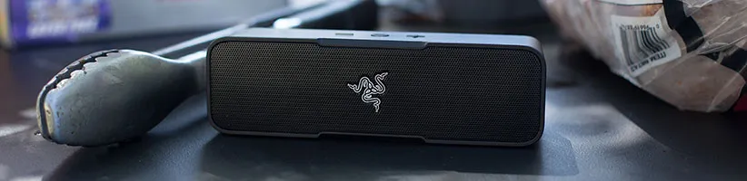 Razer Leviathan Mini