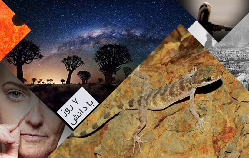 هفت روز با دانش