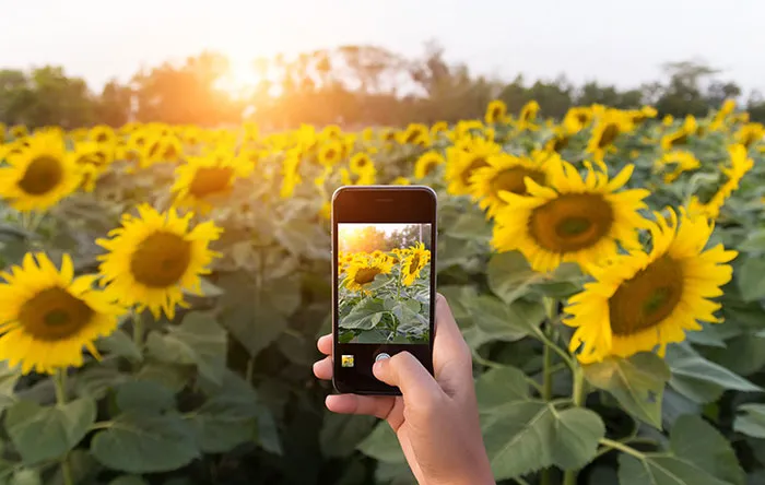 shutterstock_373237786