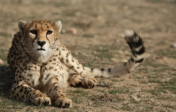 عکاس: نازنین کاظمی نوا