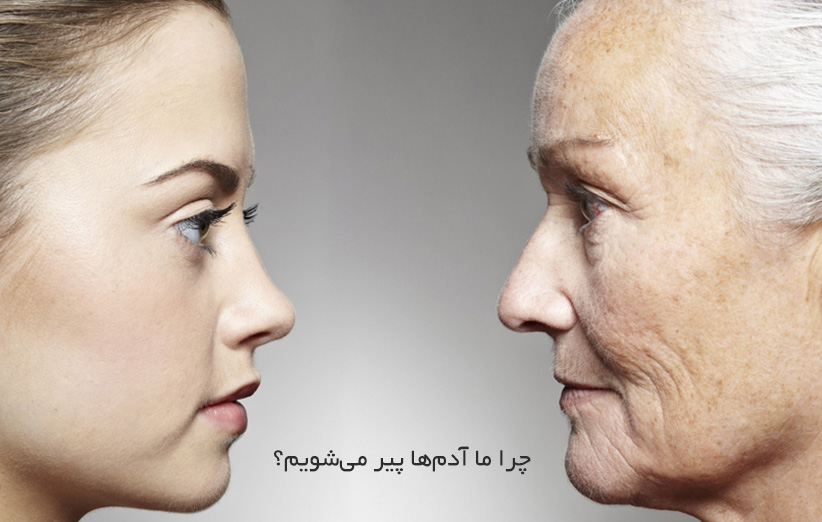 Физические возрастные изменения. Возрастные изменения лица. Старение кожи. Возрастные изменения кожи лица. Женщины разных возрастов.