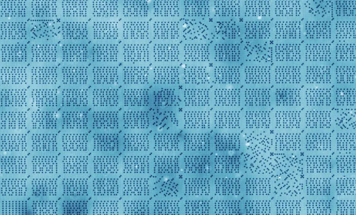 yvietlllnowlwfwmplxx