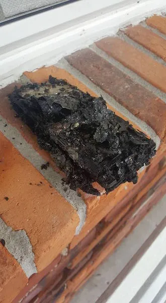 vhjximozy7v8nke4yvrp