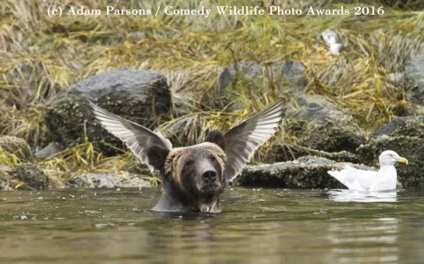 عکس خنده دار حیات وحش