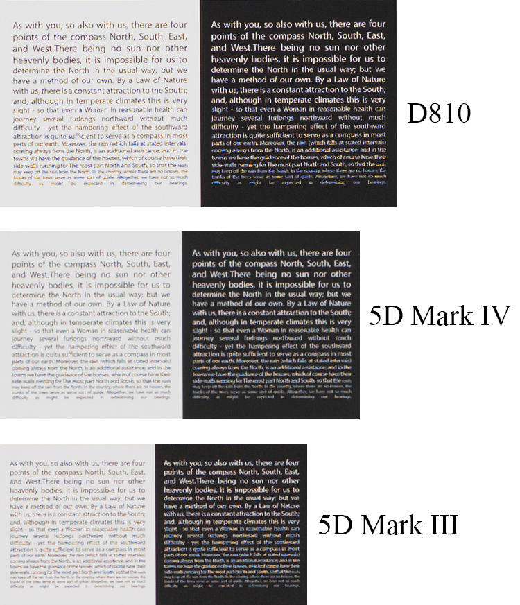 تکفیک جزییات در مارک ۴ نسبت به مارک ۳ پیشرفت داشته ولی همچنان D810 تفکیک جزییات خیلی بهتری انجام می‌دهد.
