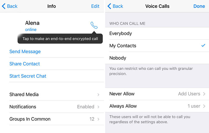Telegram-Voice-Calls
