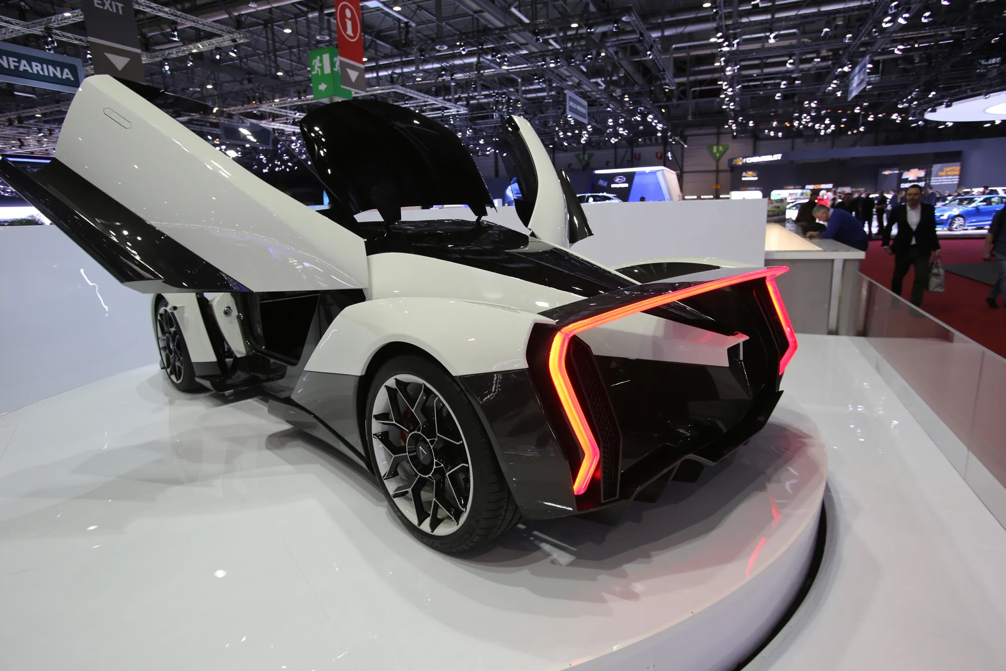 Vanda-Electrics-Dendrobium-rear-three-quarter-02