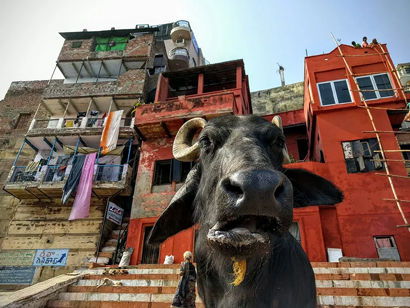 عکاسی موبایل بهترین عکس موبایلی 2016