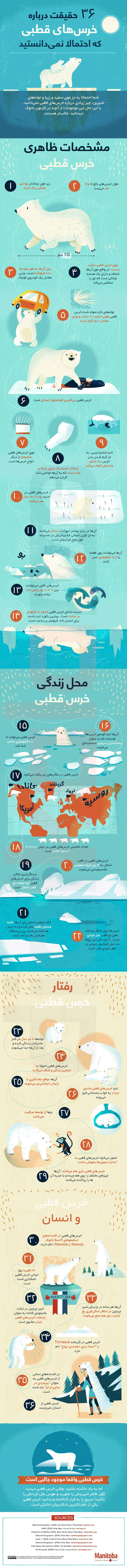 اینفوگرافیک حقایق جالب درباره‌ی خرس‌های قطبی