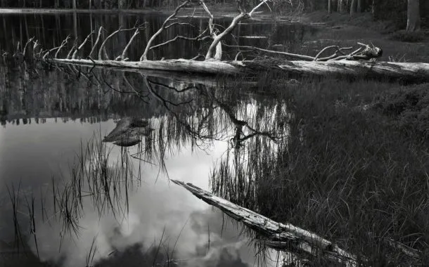 برترین عکاسان تاریخ - انسل آدامز