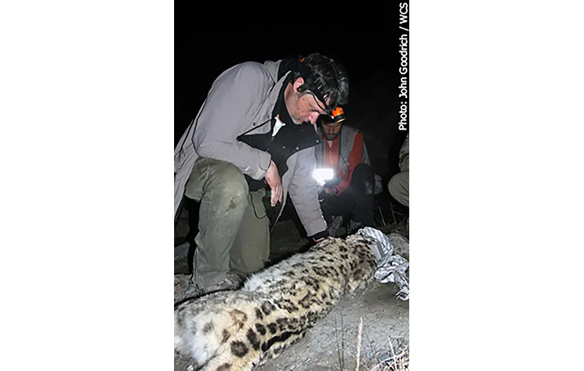 انجمن حفاظت از حیات وحش 