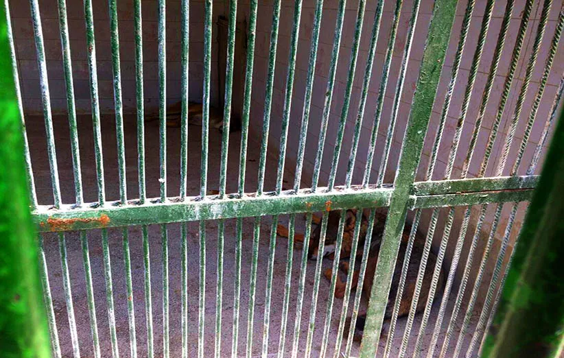  باغ‌وحش مشهد