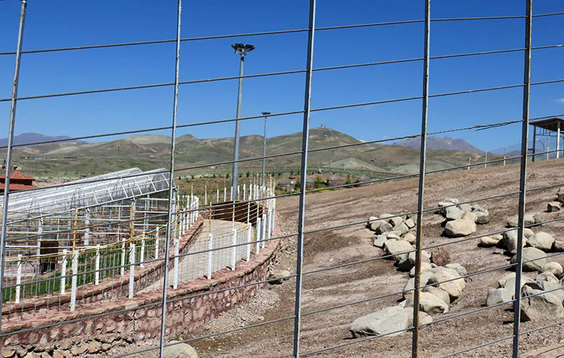 عکس ۴- دورنمایی از جایگاه نشخوارکنندگان در باغ‌وحش باراجین