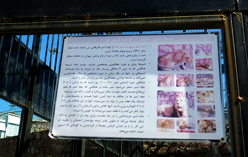 عکس ۷- یک نمونه از تابلوهای داخل باغ‌وحش باراجین