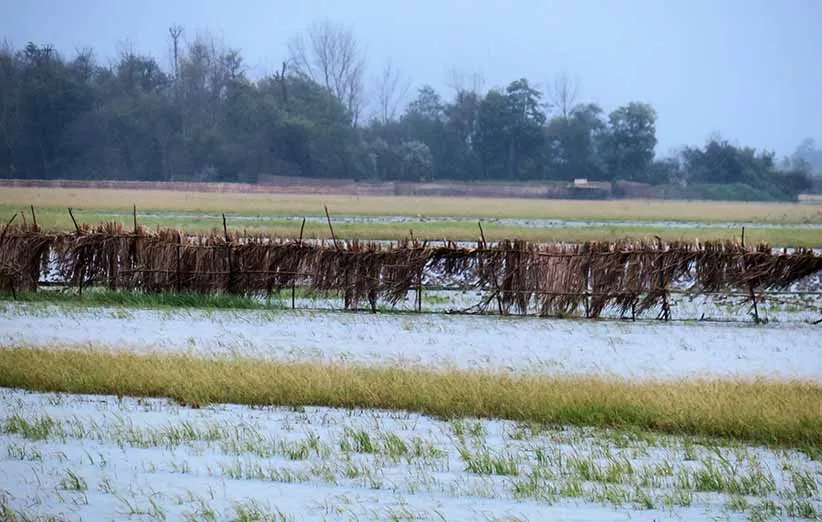 دیدنی های فریدونکنار