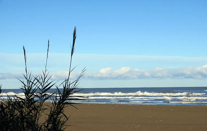 ابرهای باران