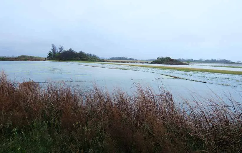 جمعیت فریدونکنار