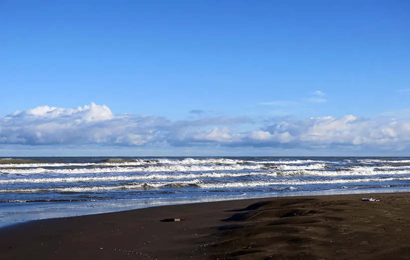 دلایل ریزش باران