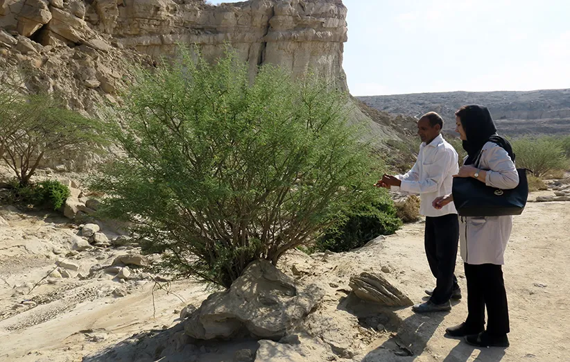 حفاظت طبیعت