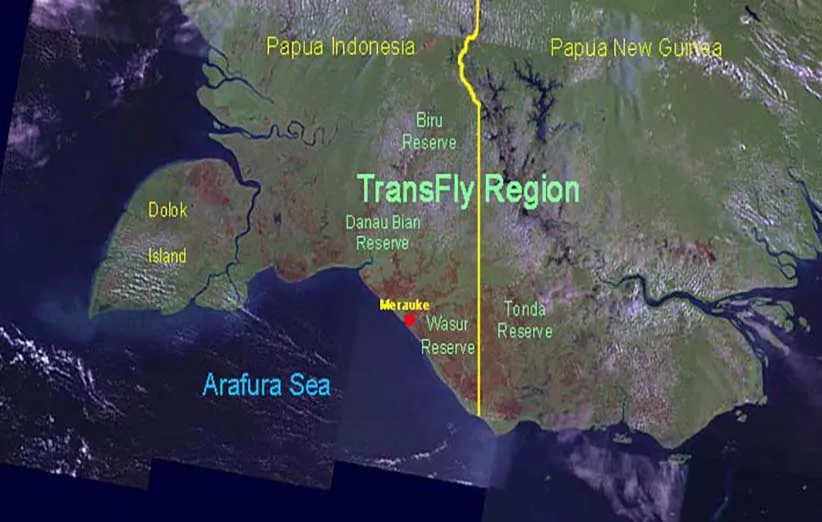 تحقیق طبیعت