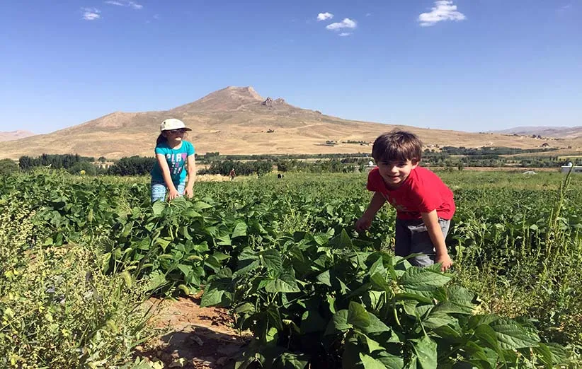 توصیف طبیعت