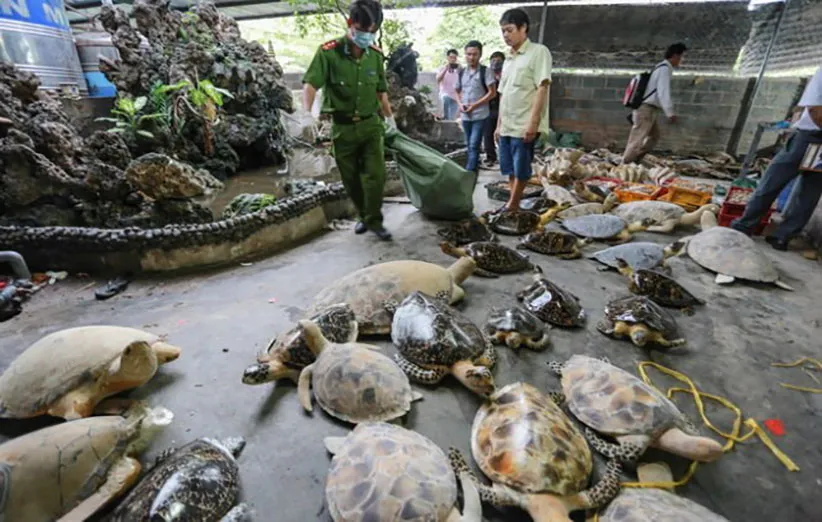 عکس حفاظت از محیط زیست