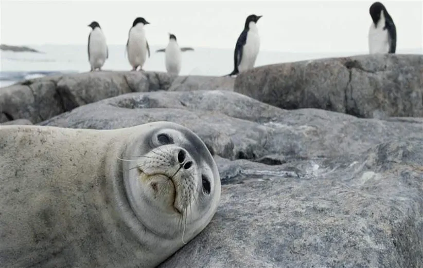 حفظ محیط زیست توسط مردم