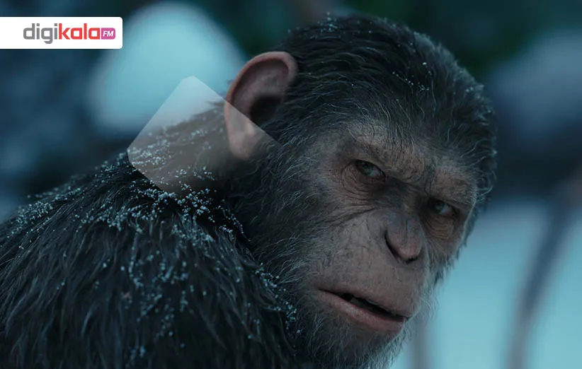 سیاره‌ی میمون‌ها