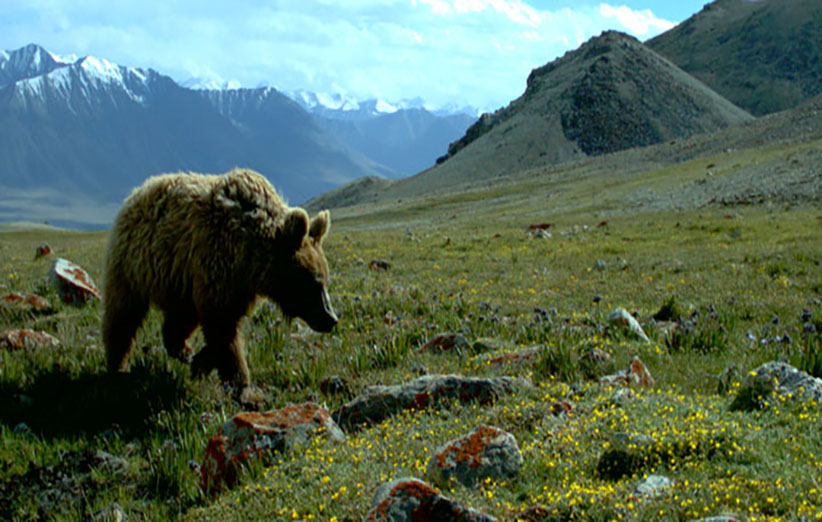 پارک ملی تهران