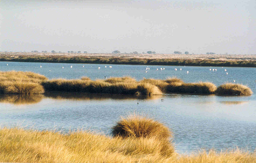 پارک ملی گلستان