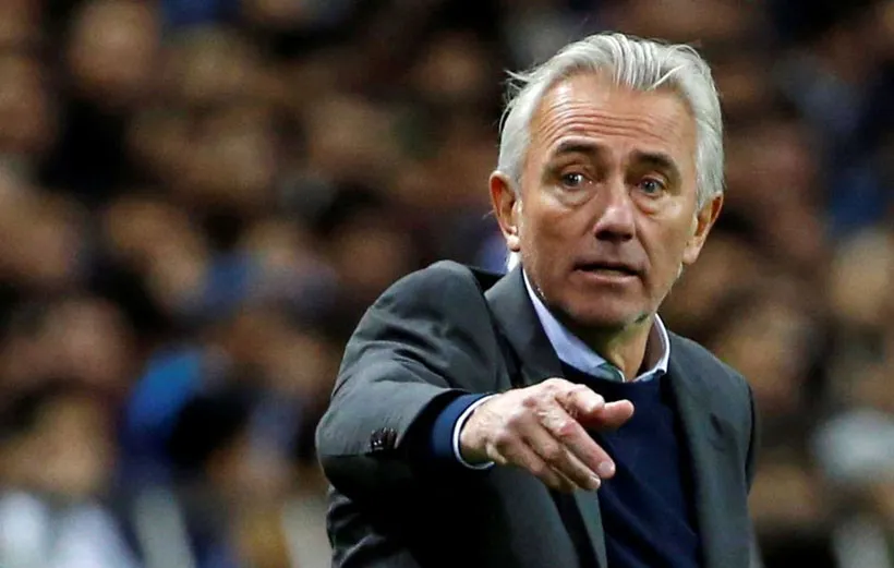 تیم های صعودکننده جام جهانی سرمربی استرالیا