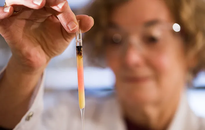 قدیمی‌ترین رنگ دنیا