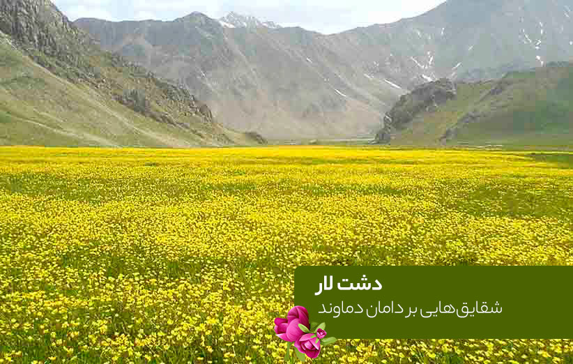 دشت لار دماوند - راهنمای سفر به نزدیک ترین دشت شقایق به تهران | دیجی‌کالا مگ