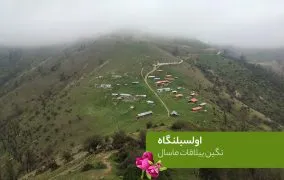 اولسبلنگاه