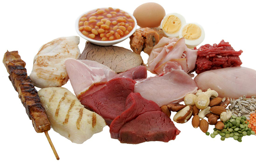 مواد پروتئینی