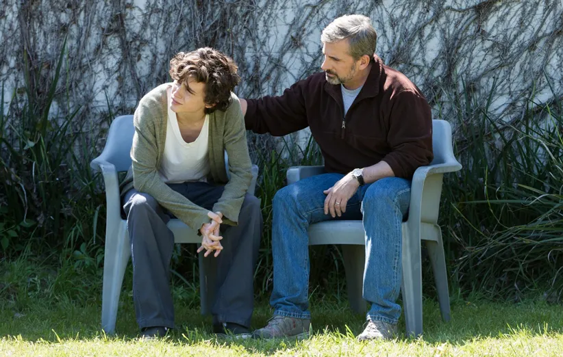 استیو کارل پسر زیبا