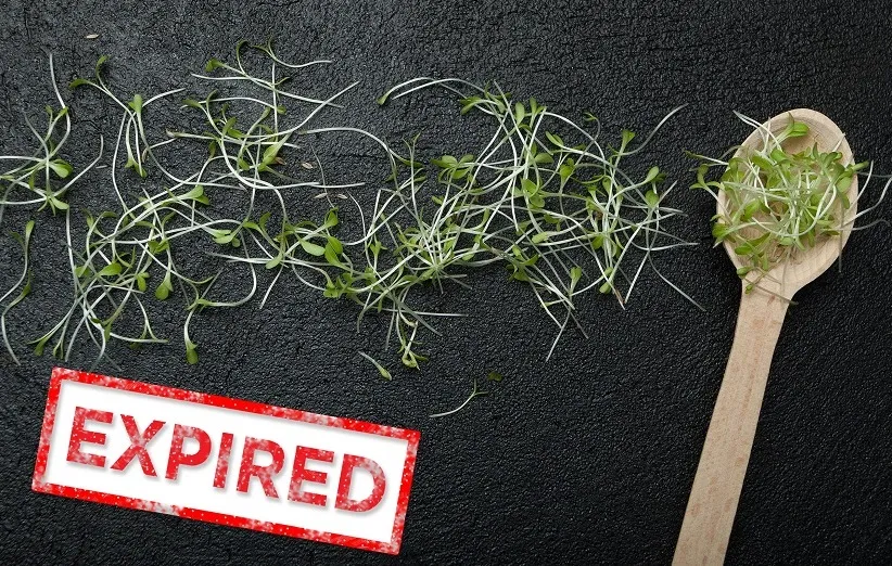 تاریخ انقضای جوانه