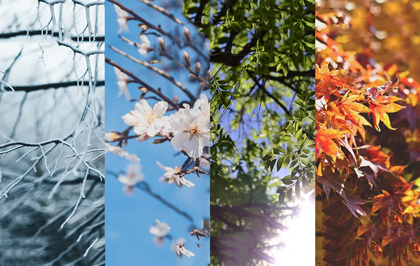 فصل مورد علاقه