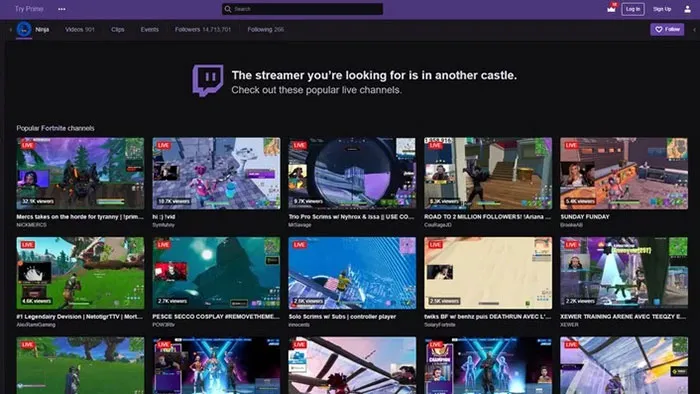 Ninja Twitch Channel