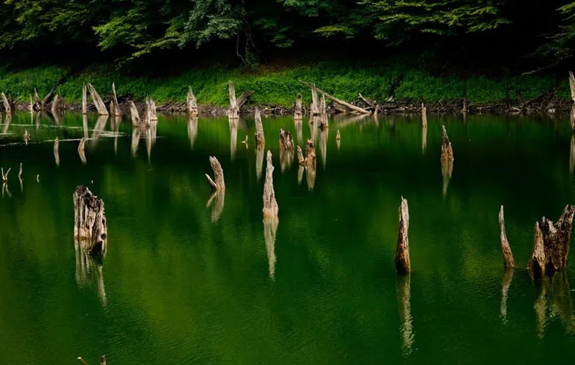 دریاچه چورت کجاست