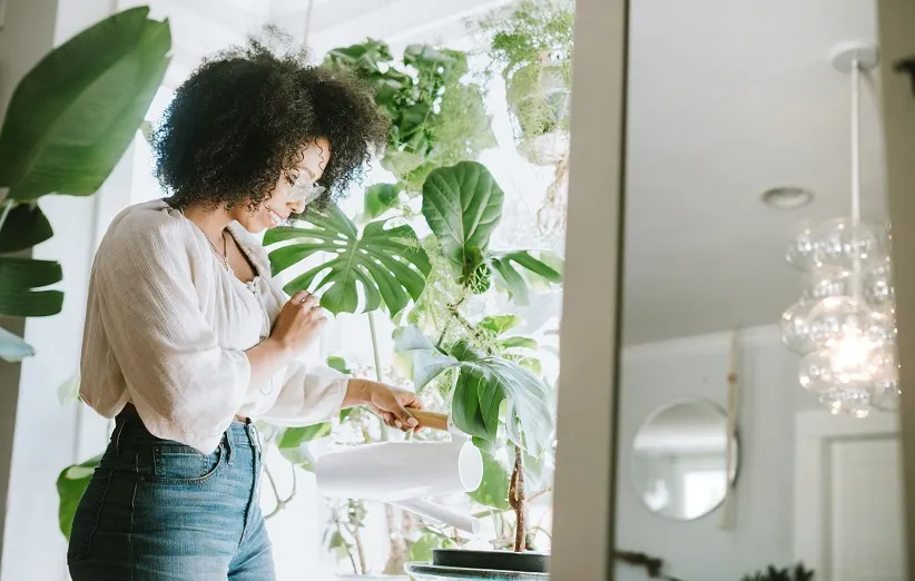 تهیه کود خانگی برای گیاهان آپارتمانی