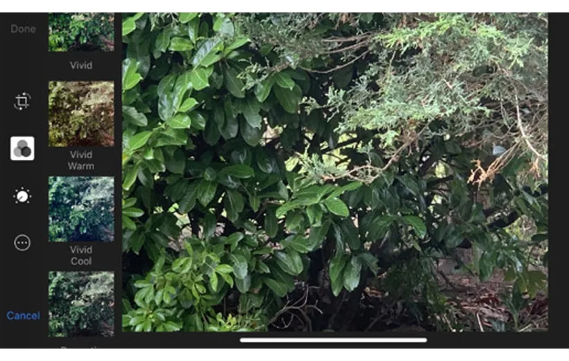 آموزش عکاسی با آیفون