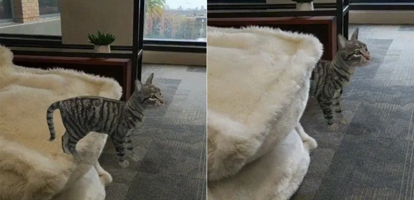 پلتفرم واقعیت افزوده ARCore