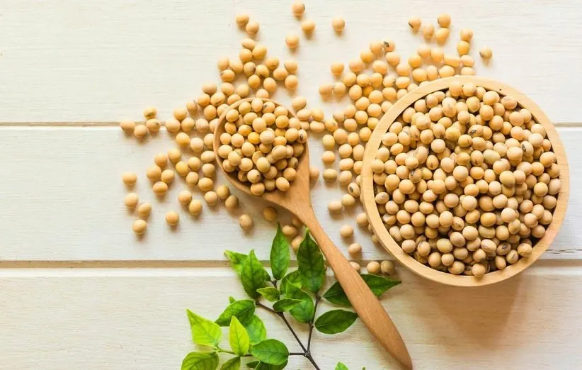 برای تری گلیسرید چه بخوریم