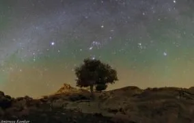 ستاره ابط الجوزا