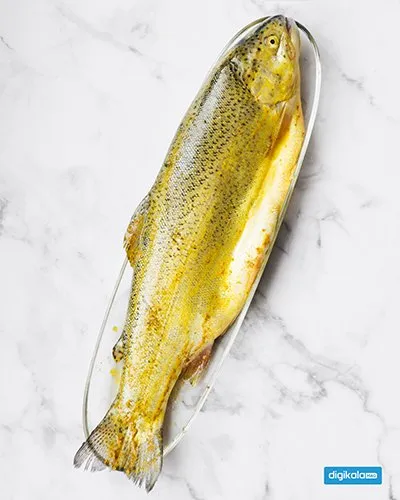 ماهی قزل آلا